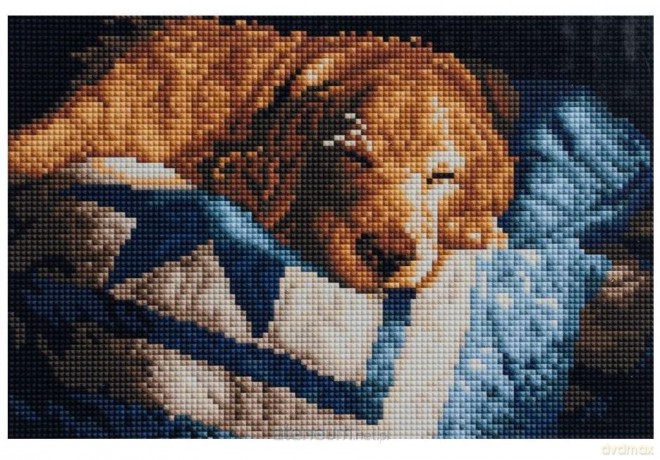 Diamentowa mozaika - Drzemka 20x30 cm
