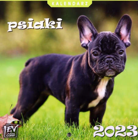 Kalendarz 2023 13 Plansz 16x16 cm Psiaki [KALENDARZ]