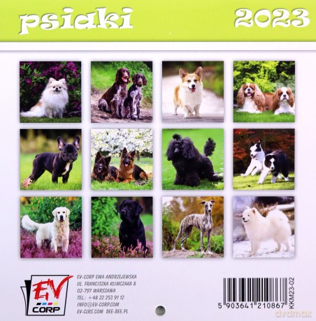 Kalendarz 2023 13 Plansz 16x16 cm Psiaki [KALENDARZ]