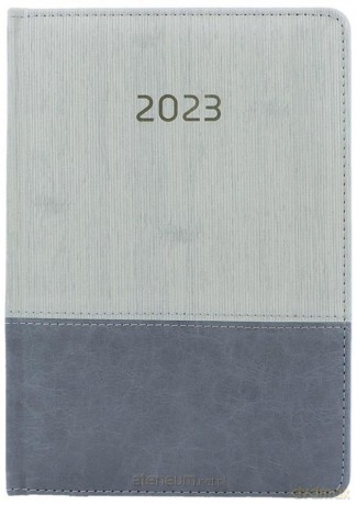 Kalendarz 2023 A5 dzienny Savana pistacjowy [KALENDARZ]
