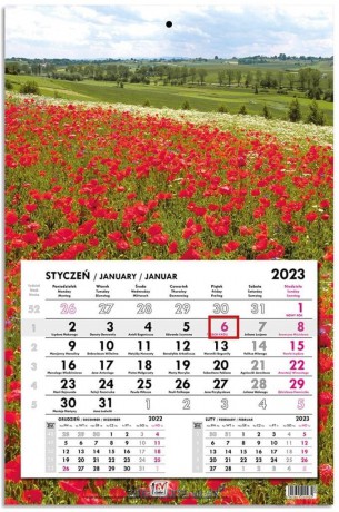 Kalendarz 2023 jednodzielny głowka płaska Maki [KALENDARZ]