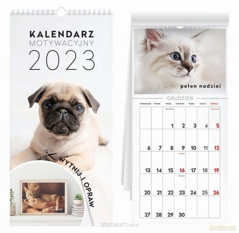 Kalendarz 2023 motywacyjny Zwierzaki [KALENDARZ]