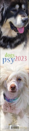Kalendarz 2023 Paskowy - Psy [KALENDARZ]