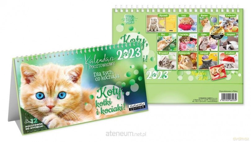 Kalendarz 2023 pocztówkowy Koty [KALENDARZ]