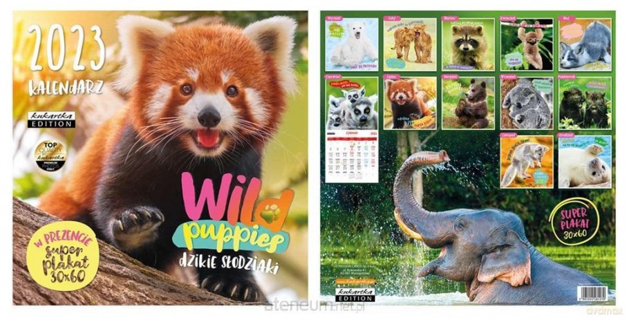 Kalendarz 2023 ścienny Classic Wild Puppies [KALENDARZ]