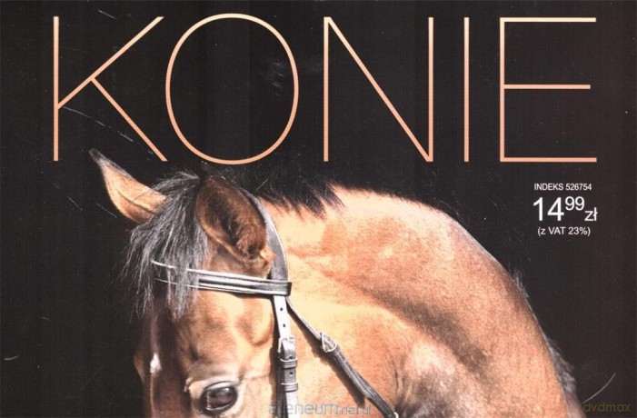 Kalendarz 2023 ścienny Konie [KALENDARZ]