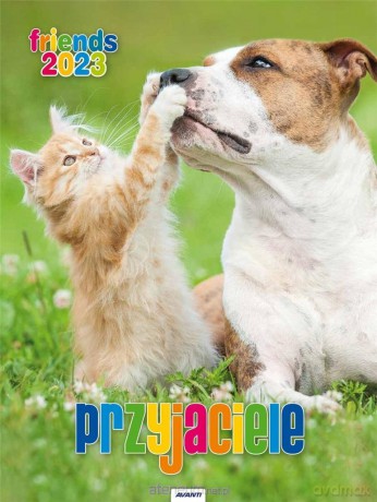 Kalendarz 2023 ścienny Przyjaciele [KALENDARZ]