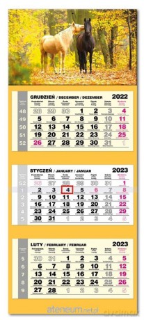 Kalendarz 2023 trojdzielny lux Konie [KALENDARZ]