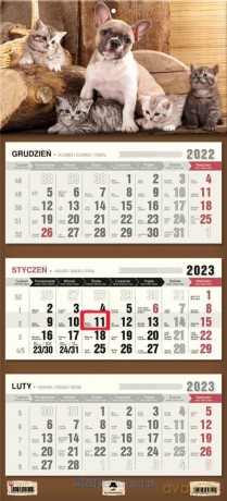Kalendarz 2023 trójdzielny płaska gł. Przyjaciele [KALENDARZ]