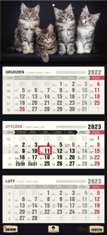 Kalendarz 2023 trójdzielny płaska główka Kotki [KALENDARZ]