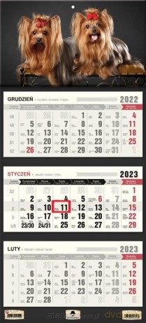 Kalendarz 2023 trójdzielny płaska główka Yorki [KALENDARZ]