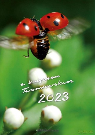 Kalendarz 2023 z ks. Twardowskim - biedronka [KALENDARZ]