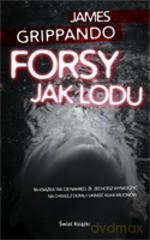 Forsy jak lodu - James Grippando [KSIĄŻKA]