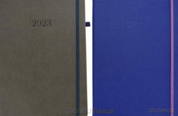 Terminarz 2023 A4 tygodniowy krokodylek MIX [KALENDARZ]