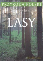 Przyroda Polski. Lasy - Agnieszka Blińska, Włodek Bliński [KSIĄŻKA]