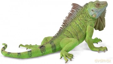 Figurka Iguana 88965 COLLECTA [FIGURKA]