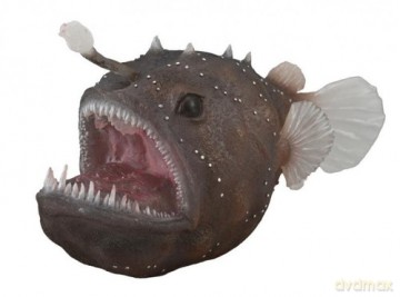 Figurka Żabnica 88967 COLLECTA [FIGURKA]