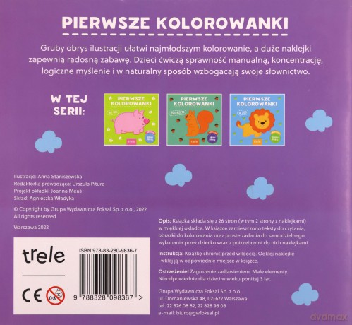 Pierwsze kolorowanki. W domu. Wyd II