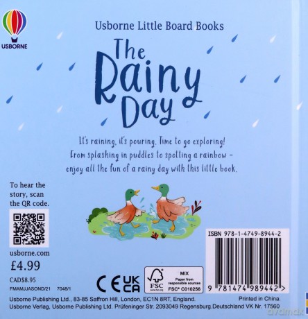The Rainy Day (Little Board Books) - Milbourne Anna [KSIĄŻKA]