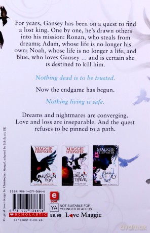 The Raven King: 4 (The Raven Cycle) - Maggie Stiefvater [KSIĄŻKA]