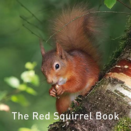 The Red Squirrel Book (Nature Book) - Jane Russ [KSIĄŻKA]