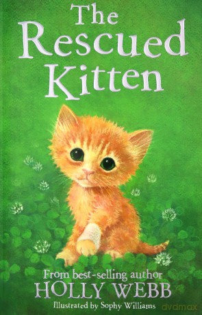 The Rescued Kitten: 39 (Holly Webb Animal Stories (39)) - Holly Webb [KSIĄŻKA]