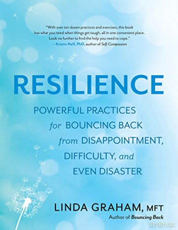 The Resilience Toolkit: Powerful Practices for Bouncing Back from Disappointment, Difficulty, and Even Disaster - Linda Graham [KSIĄŻKA]