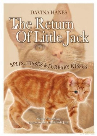 The Return of Little Jack - Davina Hanes [KSIĄŻKA]