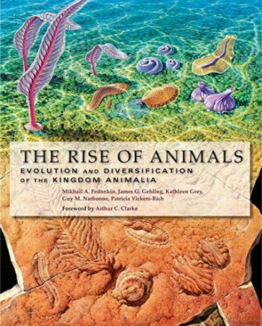 The Rise of Animals: Evolution and Diversification of the Kingdom Animalia - Mikhail A. Fedonkin [KSIĄŻKA]