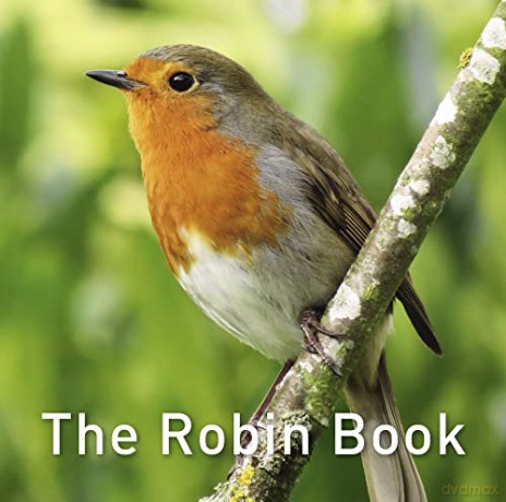The Robin Book (The Nature Book Series): 6 - Jane Russ [KSIĄŻKA]