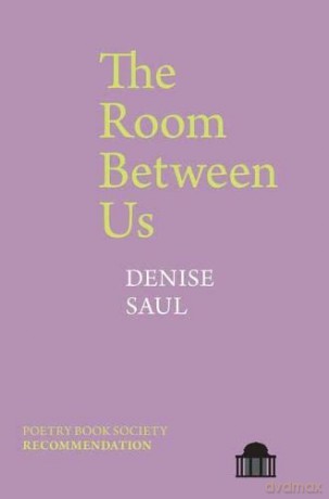 The Room Between Us (Pavilion Poetry) - Denise Saul [KSIĄŻKA]
