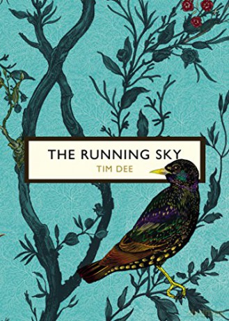 The Running Sky (The Birds and the Bees): A Bird-Watching Life (Vintage Classic Birds and Bees Series) - Tim Dee [KSIĄŻKA]