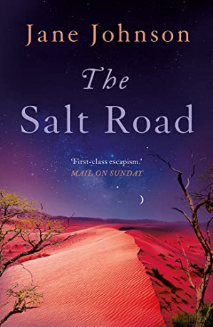 The Salt Road - Johnson [KSIĄŻKA]