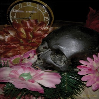 FDS: Nagranie Z Muzyką Naiwną [CD]