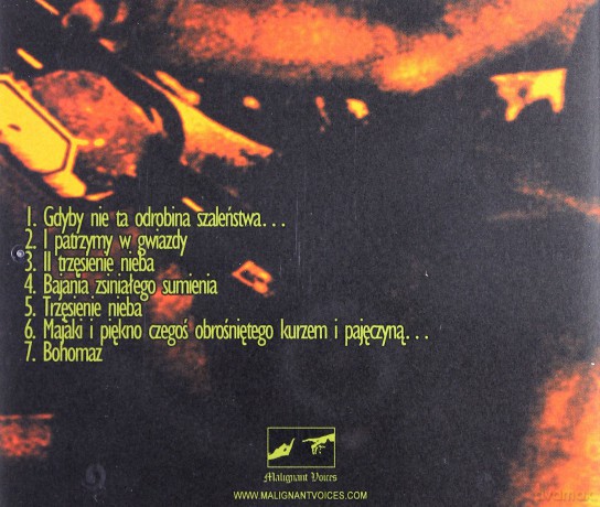 FDS: Nagranie Z Muzyką Naiwną [CD]