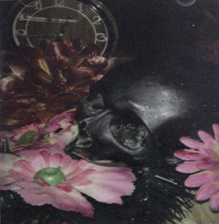 FDS: Nagranie Z Muzyką Naiwną [CD]