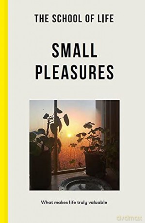 The School of Life: Small Pleasures - what makes life truly valuable - The School of Life [KSIĄŻKA]
