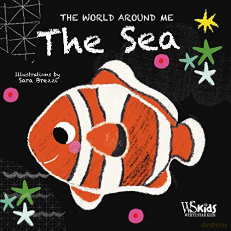 The Sea (World Around Me) - Sara Brezzi [KSIĄŻKA]