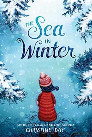 The Sea in Winter - Christine Day [KSIĄŻKA]