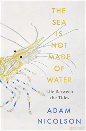 The Sea is Not Made of Water: Life Between the Tides - Adam Nicolson [KSIĄŻKA]
