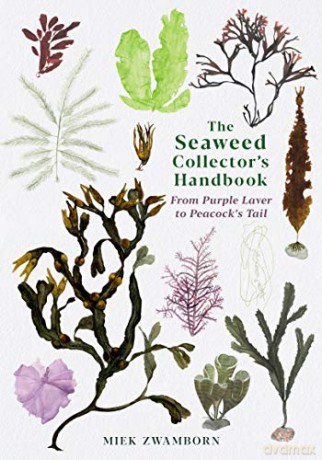 The Seaweed Collector's Handbook: From Purple Laver to Peacock's Tail - Miek Zwamborn [KSIĄŻKA]
