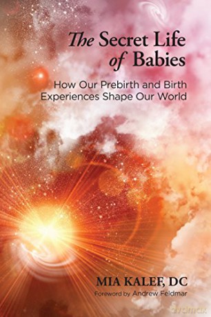 The Secret Life of Babies: How Our Prebirth and Birth Experiences Shape Our World - Mia Kalef [KSIĄŻKA]