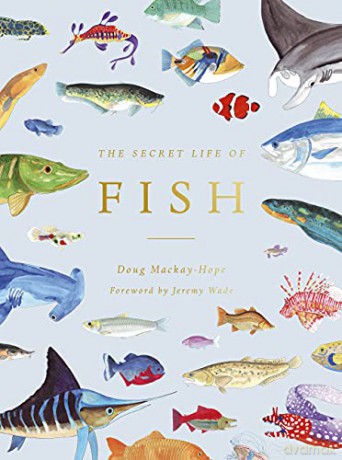 The Secret Life of Fish: The Astonishing Truth about our Aquatic Cousins - Doug Mackay-Hope [KSIĄŻKA]