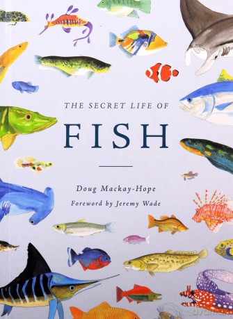 The Secret Life of Fish: The Astonishing Truth about our Aquatic Cousins - Doug Mackay-Hope [KSIĄŻKA]