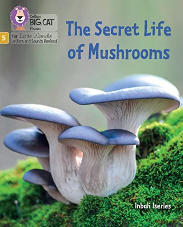 The Secret Life of Mushrooms: Phase 5 Set 4 Stretch and challenge (Big Cat Phonics for Little Wandle Letters and Sounds Revised) - Inbali Iserles [KSIĄŻKA]