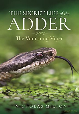 The Secret Life of the Adder: The Vanishing Viper - Nicholas Milton [KSIĄŻKA]