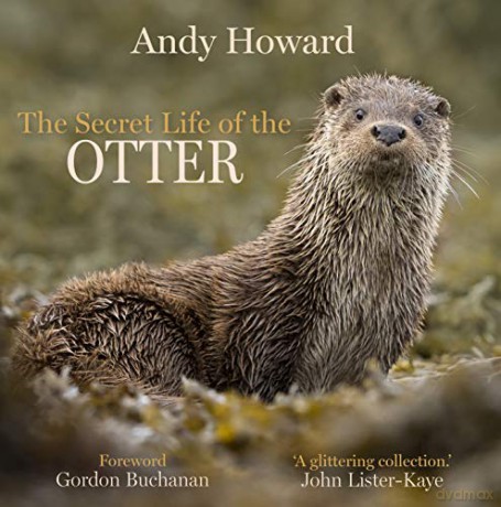 The Secret Life of the Otter - Andy Howard [KSIĄŻKA]