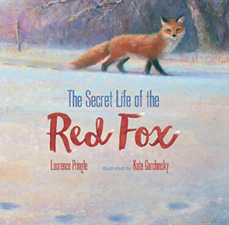 The Secret Life of the Red Fox (The Secret Life) - Laurence Pringle [KSIĄŻKA]