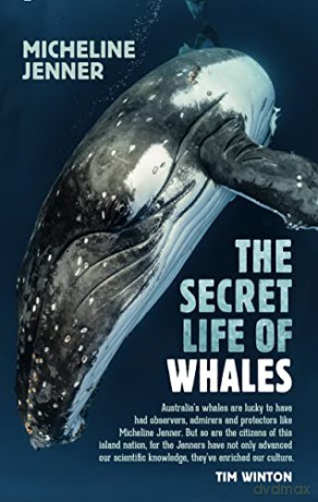 The Secret Life of Whales: A Marine Biologist Reveals All - Micheline Jenner [KSIĄŻKA]