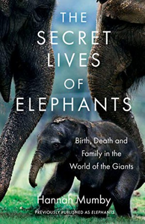 The Secret Lives of Elephants: Birth, Death and Family in the World of the Giants - Hannah Mumby [KSIĄŻKA]